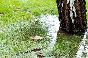 How to Avoid Damaged Drain Fields