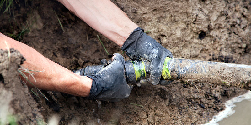 4 Key Signs That You Need Septic Repair