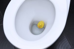 The Most Common Reasons Behind a Toilet Backup